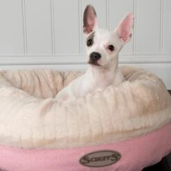 Scruffs Ellen Donut - Warme Hondenmand Van Imitatiebont - Kleur Grijs, Roze Of Bruin - Maat M Of L - Kleur: Grijs, Maat: Medium -Exporteren Alles Voor Honden Winkel 1200x1200 1132