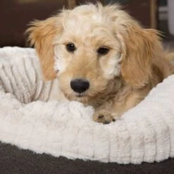 Scruffs Ellen Donut - Warme Hondenmand Van Imitatiebont - Kleur Grijs, Roze Of Bruin - Maat M Of L - Kleur: Grijs, Maat: Medium -Exporteren Alles Voor Honden Winkel 1200x1200 1133