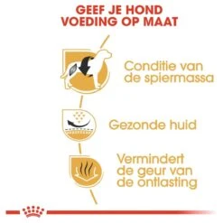 Royal Canin French Bulldog Adult 9 KG 17 Royal Canin French Bulldog Adult 9 KG -Exporteren Alles Voor Honden Winkel 1200x1200 114