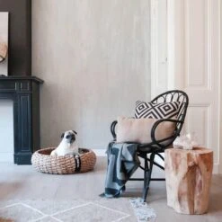 District 70 COCOON - Luxe Hondenmand Van Duurzaam Hoogwaardig Riet Met Zacht Kussen - Maten S/M/L - Large -Exporteren Alles Voor Honden Winkel 1200x1200 1150