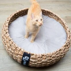 District 70 COCOON - Luxe Hondenmand Van Duurzaam Hoogwaardig Riet Met Zacht Kussen - Maten S/M/L - Large -Exporteren Alles Voor Honden Winkel 1200x1200 1153