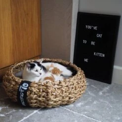 District 70 COCOON - Luxe Hondenmand Van Duurzaam Hoogwaardig Riet Met Zacht Kussen - Maten S/M/L - Large -Exporteren Alles Voor Honden Winkel 1200x1200 1154