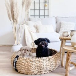District 70 COCOON - Luxe Hondenmand Van Duurzaam Hoogwaardig Riet Met Zacht Kussen - Maten S/M/L - Large -Exporteren Alles Voor Honden Winkel 1200x1200 1157