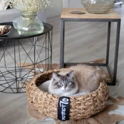 District 70 COCOON - Luxe Hondenmand Van Duurzaam Hoogwaardig Riet Met Zacht Kussen - Maten S/M/L - Large -Exporteren Alles Voor Honden Winkel 1200x1200 1160