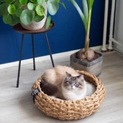 District 70 COCOON - Luxe Hondenmand Van Duurzaam Hoogwaardig Riet Met Zacht Kussen - Maten S/M/L - Large -Exporteren Alles Voor Honden Winkel 1200x1200 1161