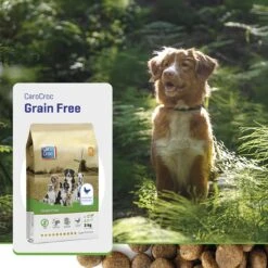Carocroc Grain Free - Gevogelte/Aardappel/Bieten - Hondenvoer - 15 Kg 18 Carocroc Grain Free - Gevogelte/Aardappel/Bieten - Hondenvoer - 15 Kg -Exporteren Alles Voor Honden Winkel 1200x1200 121