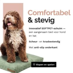 Rexproduct Hondenkussen - Hondenmand - Hondenbed Met Rits En Wasbaar - Manden & Kussens 90 X 110 CM - 0 Tot 80 Kg - SoftPet Groen -Exporteren Alles Voor Honden Winkel 1200x1200 1230