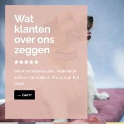 Rexproduct Hondenkussen - Hondenmand - Hondenbed Met Rits En Wasbaar - Manden & Kussens 90 X 110 CM - 0 Tot 80 Kg - SoftPet Groen -Exporteren Alles Voor Honden Winkel 1200x1200 1234