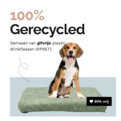 Rexproduct Hondenkussen - Hondenmand - Hondenbed Met Rits En Wasbaar - Manden & Kussens 90 X 110 CM - 0 Tot 80 Kg - SoftPet Groen -Exporteren Alles Voor Honden Winkel 1200x1200 1235