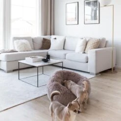 District 70 FUZZ - Hondenmand Comfortabel En Zacht Pluche - Zand, Oudroze, Donkergrijs En Lichtgrijs In S/M/L/XL - Maat: Medium, Kleur: Zand -Exporteren Alles Voor Honden Winkel 1200x1200 1246