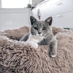 District 70 FUZZ - Hondenmand Comfortabel En Zacht Pluche - Zand, Oudroze, Donkergrijs En Lichtgrijs In S/M/L/XL - Maat: Medium, Kleur: Zand -Exporteren Alles Voor Honden Winkel 1200x1200 1247