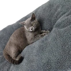 Pochon Pet - Hondenkussen - 70 X 50 Cm - Donkergrijs - Pluche - L -Exporteren Alles Voor Honden Winkel 1200x1200 1253