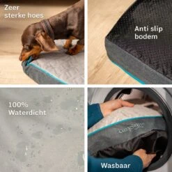 CozySense® - Orthopedisch Hondenkussen - Hondenkussen 100 X 70 Cm - Geschikt Als Benchkussen & Hondenbed - Hondenkussen Bank - Traagschuim - Waterdicht - Wasbare Hoes - Maat XL -Exporteren Alles Voor Honden Winkel 1200x1200 1259