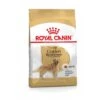 Royal Canin Golden Retriever 12 KG 2 Royal Canin Golden Retriever 12 KG -Exporteren Alles Voor Honden Winkel 1200x1200 127