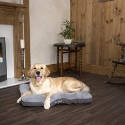 Scruffs Cosy - Comfortabel Hondenkussen In Grijs, Beige Of Karamel - Met Imitatie Suède Buitenvoering En Superzachte Binnenvoering - 100 X 70 Cm - Grijs 28 Scruffs Cosy - Comfortabel Hondenkussen In Grijs, Beige Of Karamel - Met Imitatie Suède Buitenvoering En Superzachte Binnenvoering - 100 X 70 Cm - Grijs -Exporteren Alles Voor Honden Winkel 1200x1200 1274