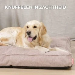 Snoozle Orthopedische Hondenmand - Zacht En Luxe Hondenkussen - Hondenbed - Wasbaar - Hondenmanden - 80 X 55 Cm - Desert Pink -Exporteren Alles Voor Honden Winkel 1200x1200 1277
