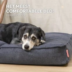 Snoozle Orthopedische Hondenmand - Zacht En Luxe Hondenkussen - Hondenbed - Wasbaar - Hondenmanden - 80 X 55 Cm - Desert Pink -Exporteren Alles Voor Honden Winkel 1200x1200 1281