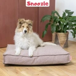 Snoozle Orthopedische Hondenmand - Zacht En Luxe Hondenkussen - Hondenbed - Wasbaar - Hondenmanden - 100 X 70 Cm - Groen -Exporteren Alles Voor Honden Winkel 1200x1200 1282