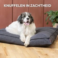 Snoozle Orthopedische Hondenmand - Zacht En Luxe Hondenkussen - Hondenbed - Wasbaar - Hondenmanden - 100 X 70 Cm - Groen -Exporteren Alles Voor Honden Winkel 1200x1200 1284