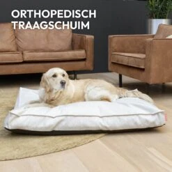 Snoozle Orthopedische Hondenmand - Zacht En Luxe Hondenkussen - Hondenbed - Wasbaar - Hondenmanden - 100 X 70 Cm - Groen -Exporteren Alles Voor Honden Winkel 1200x1200 1286