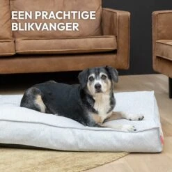 Snoozle Orthopedische Hondenmand - Zacht En Luxe Hondenkussen - Hondenbed - Wasbaar - Hondenmanden - 100 X 70 Cm - Groen -Exporteren Alles Voor Honden Winkel 1200x1200 1287