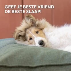 Snoozle Orthopedische Hondenmand - Zacht En Luxe Hondenkussen - Hondenbed - Wasbaar - Hondenmanden - 120 X 90 Cm - Groen -Exporteren Alles Voor Honden Winkel 1200x1200 1307