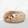 Peaceful Pooch S - Pluizig Hondenbed - 58cm Diameter - Opvouwbaar - In Verschillende Maten. Kattenbed - Wasbaar - Uitneembare Vulling - Ontspant Gewrichten En Spieren - Anti-slip Noppenbodem -Exporteren Alles Voor Honden Winkel 1200x1200 1311
