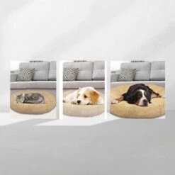 Peaceful Pooch S - Pluizig Hondenbed - 58cm Diameter - Opvouwbaar - In Verschillende Maten. Kattenbed - Wasbaar - Uitneembare Vulling - Ontspant Gewrichten En Spieren - Anti-slip Noppenbodem -Exporteren Alles Voor Honden Winkel 1200x1200 1312