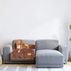 Origineel Hondendeken Voor Bank– Hondenkleed Fluffy – Pluche Hondenbed - Hondenmand Premium - Volledig Afritsbaar -Exporteren Alles Voor Honden Winkel 1200x1200 1321