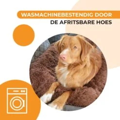 Origineel Hondendeken Voor Bank– Hondenkleed Fluffy – Pluche Hondenbed - Hondenmand Premium - Volledig Afritsbaar -Exporteren Alles Voor Honden Winkel 1200x1200 1322
