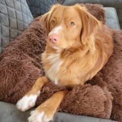 Origineel Hondendeken Voor Bank– Hondenkleed Fluffy – Pluche Hondenbed - Hondenmand Premium - Volledig Afritsbaar -Exporteren Alles Voor Honden Winkel 1200x1200 1326