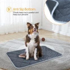 Nobleza Vetbed - Warmtemat - M - Voor Honden En Katten - 60x45cm -Exporteren Alles Voor Honden Winkel 1200x1200 1352