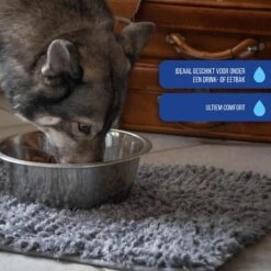 Royal Dry Absorberende Anti-knoeimat Voor Honden – Trekt Vuil Als Een Spons – Laat Geen Vocht Door – 61x45 Cm – Microfiber Chenille – Geschikt Voor Honden En Overige Huisdieren -Exporteren Alles Voor Honden Winkel 1200x1200 1355