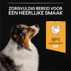 Pro Plan Medium & Large Adult 7+ (Senior) Age Defence - Honden Droogvoer- Kip - 14 Kg 25 Pro Plan Medium & Large Adult 7+ (Senior) Age Defence - Honden Droogvoer- Kip - 14 Kg -Exporteren Alles Voor Honden Winkel 1200x1200 136