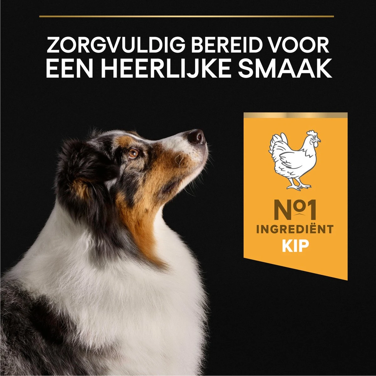 Pro Plan Medium & Large Adult 7+ (Senior) Age Defence - Honden Droogvoer- Kip - 14 Kg 12 Pro Plan Medium & Large Adult 7+ (Senior) Age Defence - Honden Droogvoer- Kip - 14 Kg - Afbeelding 10