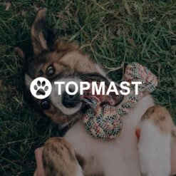 Topmast Waterproof Benchkussen - Nylon - Zwart - 60 X 45 Cm - Benchmat - Benchmatras - Waterafstotend - Hondenkussen -Exporteren Alles Voor Honden Winkel 1200x1200 1370