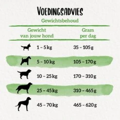 Beneful Gezond Gewicht - Hondenvoer Met Kip En Tuingroenten - 12kg -Exporteren Alles Voor Honden Winkel 1200x1200 139