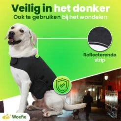 Woefie Honden Anti Stress Vest - Hond Blaffen - Maat S - Reflecterend - Thundershirt - Grijs 15 Woefie Honden Anti Stress Vest - Hond Blaffen - Maat S - Reflecterend - Thundershirt - Grijs -Exporteren Alles Voor Honden Winkel 1200x1200 1443