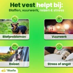 Woefie Honden Anti Stress Vest - Hond Blaffen - Maat S - Reflecterend - Thundershirt - Grijs 17 Woefie Honden Anti Stress Vest - Hond Blaffen - Maat S - Reflecterend - Thundershirt - Grijs -Exporteren Alles Voor Honden Winkel 1200x1200 1444