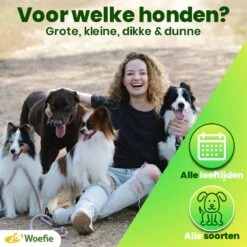 Woefie Honden Anti Stress Vest - Hond Blaffen - Maat S - Reflecterend - Thundershirt - Grijs 18 Woefie Honden Anti Stress Vest - Hond Blaffen - Maat S - Reflecterend - Thundershirt - Grijs -Exporteren Alles Voor Honden Winkel 1200x1200 1445