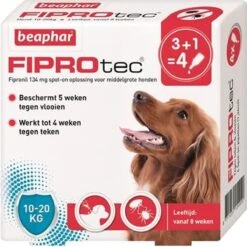 Beaphar Fiprotec Anti Vlooien En Teken Druppels Hond 20 - 40 Kg 3 + 1 Stuks -Exporteren Alles Voor Honden Winkel 1200x1200 1448