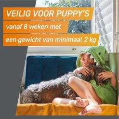 Frontpro Hond L 10-25 Kg 3 Tabletten -Exporteren Alles Voor Honden Winkel 1200x1200 1457