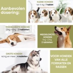 Animigo Anti-Allergie Voor Honden - 120 Tabletten - Tegen Alle Soorten Allergie -Exporteren Alles Voor Honden Winkel 1200x1200 1485