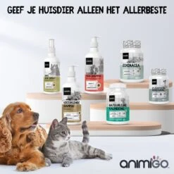 Animigo Anti-Allergie Voor Honden - 120 Tabletten - Tegen Alle Soorten Allergie -Exporteren Alles Voor Honden Winkel 1200x1200 1486