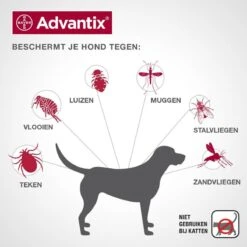 Bayer Advantix Vlooien & Teken Pipetten - Hond Tot 4Kg - 6 Stuks -Exporteren Alles Voor Honden Winkel 1200x1200 1488