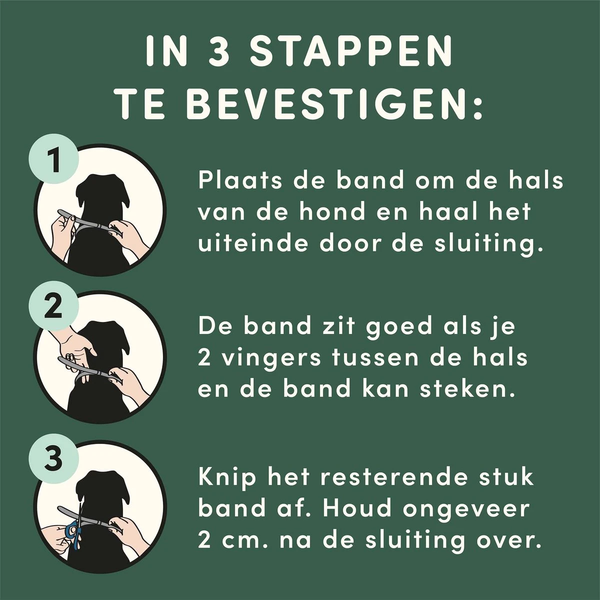 Vlooienband Kleine Hond Tekenband - 100% Natuurlijk Veilig En Waterbestendig 4 Vlooienband Kleine Hond Tekenband - 100% Natuurlijk Veilig En Waterbestendig - Afbeelding 2