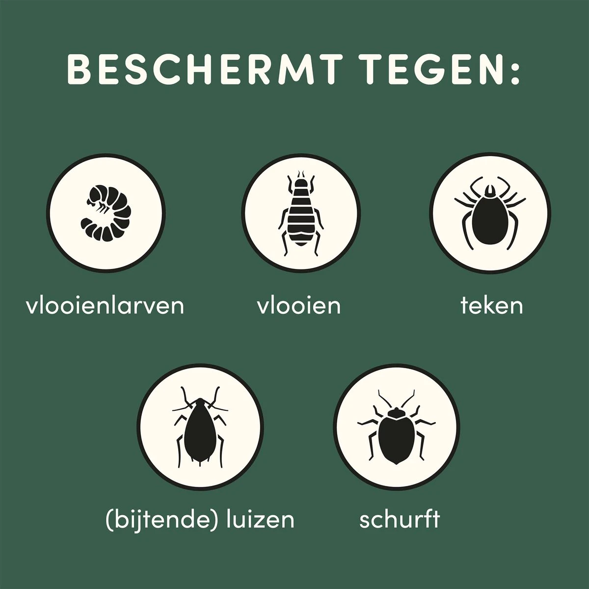 Vlooienband Kleine Hond Tekenband - 100% Natuurlijk Veilig En Waterbestendig 7 Vlooienband Kleine Hond Tekenband - 100% Natuurlijk Veilig En Waterbestendig - Afbeelding 5