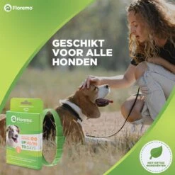 Floremo - Vlooienband En Tekenband Voor Hond - 3 Maanden Bescherming - Anti Tekenmiddel 14 Floremo - Vlooienband En Tekenband Voor Hond - 3 Maanden Bescherming - Anti Tekenmiddel -Exporteren Alles Voor Honden Winkel 1200x1200 1508