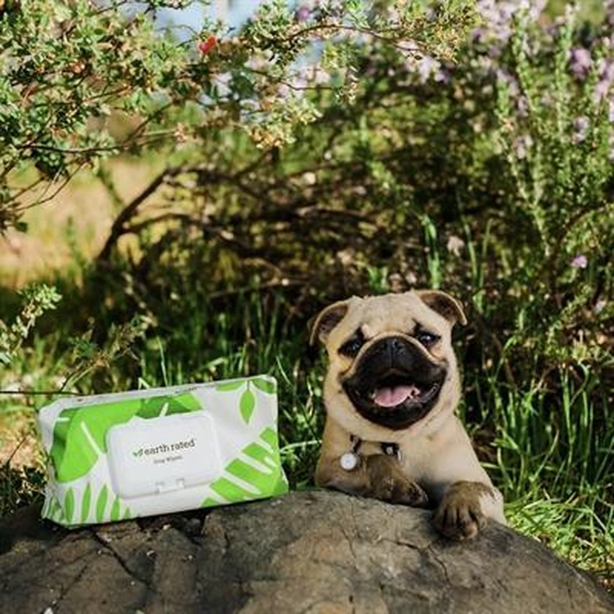 Earth Rated Dog Wipes Schoonmaakdoekjes Geurloos 100 Doekjes 5 Earth Rated Dog Wipes Schoonmaakdoekjes Geurloos 100 Doekjes - Afbeelding 3