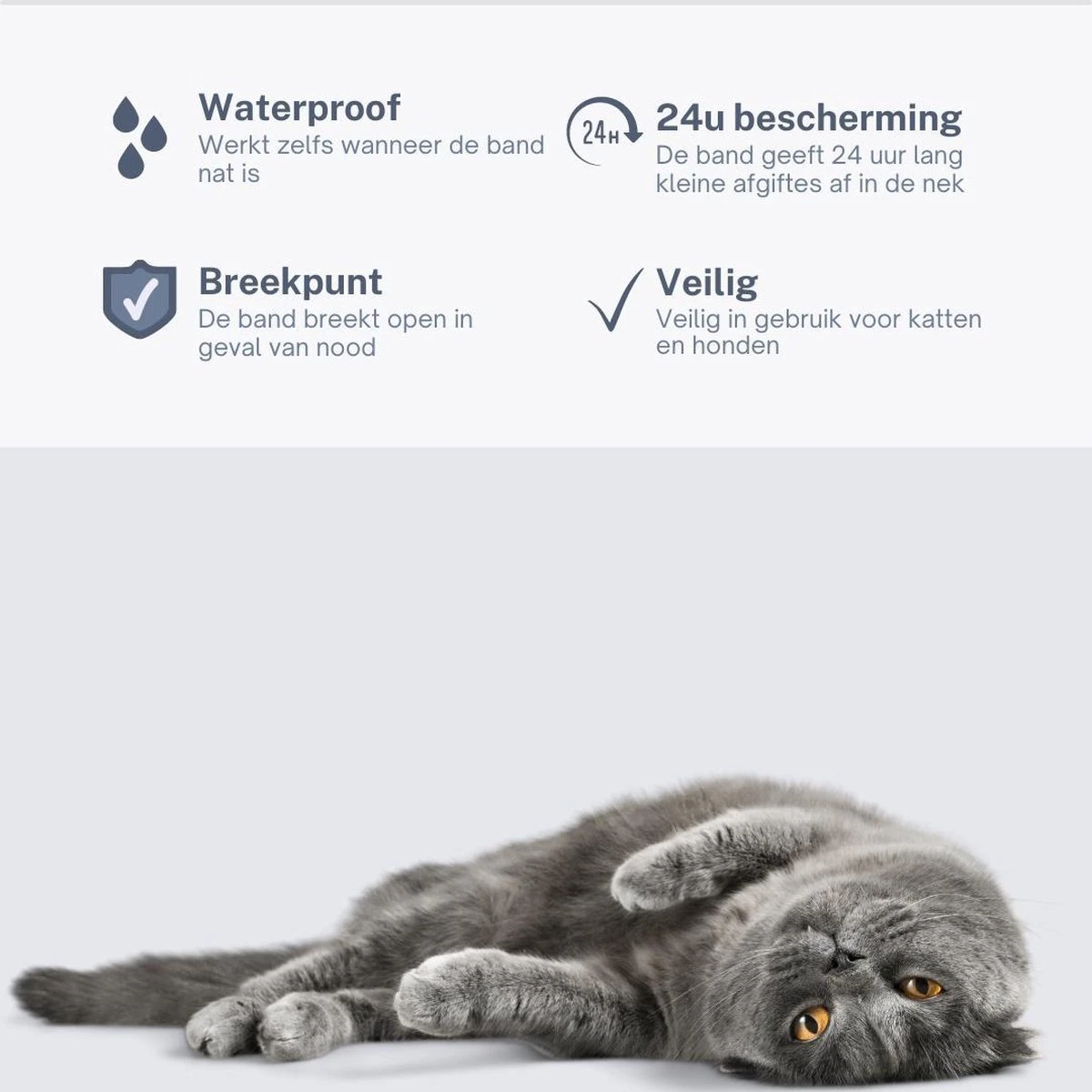 Merkloos Vlooienband Hond - 8 Maanden Bescherming - Vlooienband - Natuurlijk - Tekenband - Anti Vlooien - 63cm - Fit All Sizes - Vlooienbandjes Hond - Vlooien - Teken 8 Merkloos Vlooienband Hond - 8 Maanden Bescherming - Vlooienband - Natuurlijk - Tekenband - Anti Vlooien - 63cm - Fit All Sizes - Vlooienbandjes Hond - Vlooien - Teken - Afbeelding 6